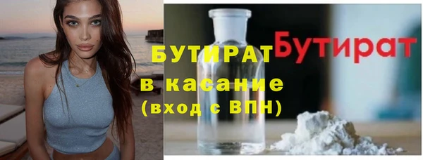 сатива Бородино