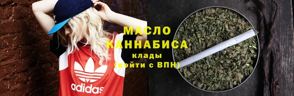 стаф Инта